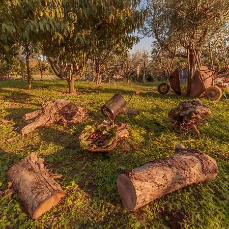 Couette-café Panora Hill Faiano