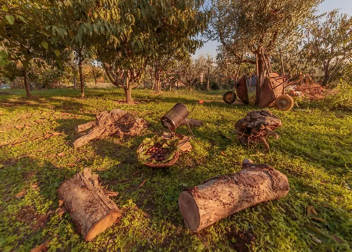 B&B Panora Hill Faiano